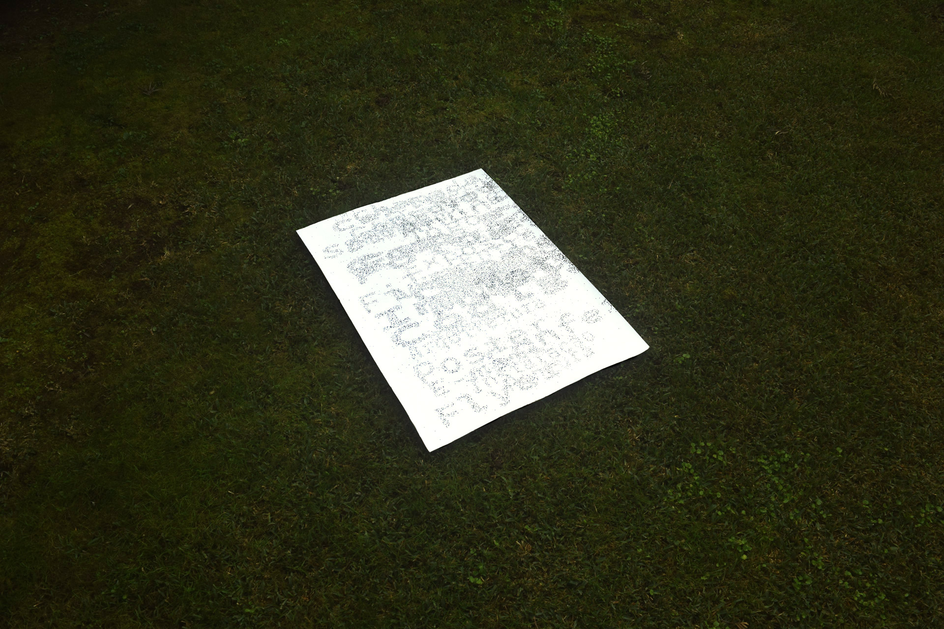 Photo of a poster laying in grass.
